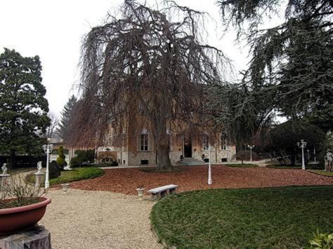 Park Hotel Villa Salzea Trofarello Dış mekan fotoğraf