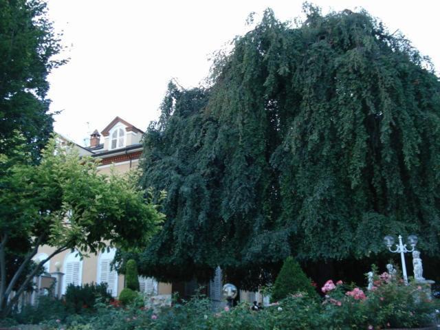 Park Hotel Villa Salzea Trofarello Dış mekan fotoğraf