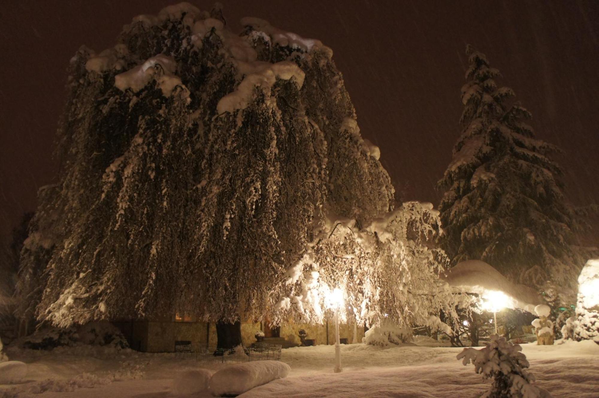 Park Hotel Villa Salzea Trofarello Dış mekan fotoğraf